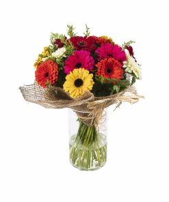 ספרות זולה רקע לבן עם אריזה