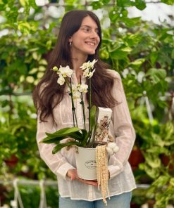 מארז התחדשות