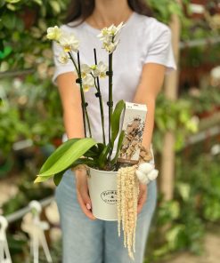 מארז התחדשות