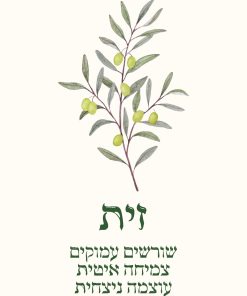 כרטיס לדוגמה