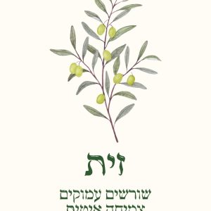 כרטיס לדוגמה