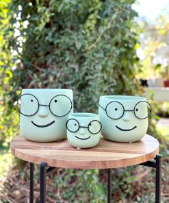 עציץ שמוליק