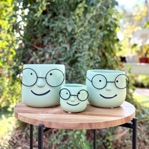 עציץ שמוליק