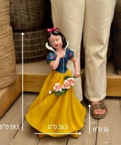 שלגיה מידות