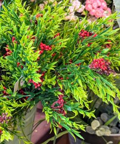 כדורי כריסמס משי