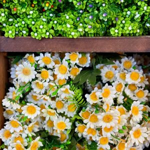 מיני מרגרטה