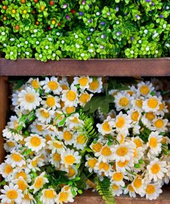 מיני מרגרטה