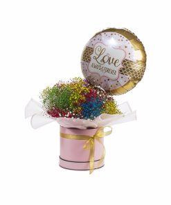 הנסיכה הקסומה רקע לבן