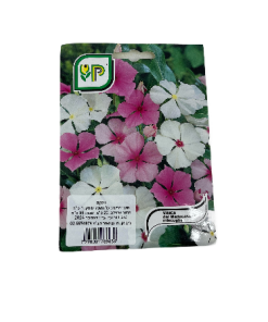 וינקה זרעים