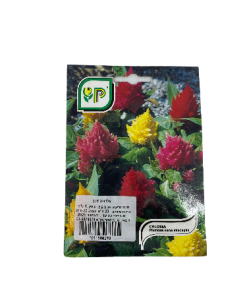 צלוזיה זרעים