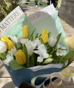 האור אחרי הגשם