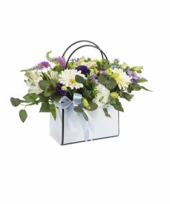 סידור חלום לבן רקע לבן