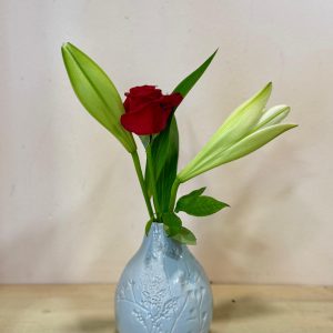 ואזה פרחי בר