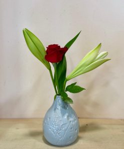 ואזה פרחי בר