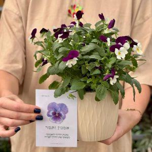 מארז בלב פורח