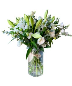 קלסיקה בלבן רקע לבן