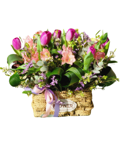 סלסלת טוליפים רקע לבן