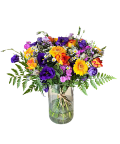 שקיעה סגולה רקע לבן