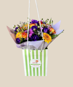 שקיעה סגולה אריזה