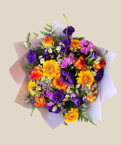 שקיעה סגולה מבט על