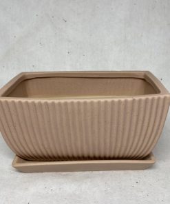 אדנית פסים ורוד בהיר