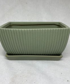 אדנית פסים בצבע ירוק