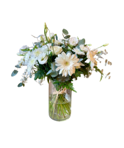 בליבי לבן רקע לבן