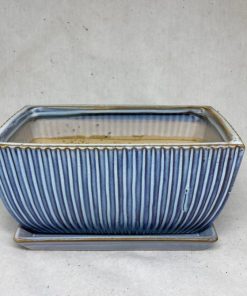 אדנית פסים בצבע כחול