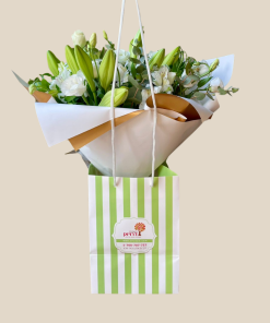 קלסיקה בלבן אריזה