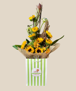 ספארי אריזה