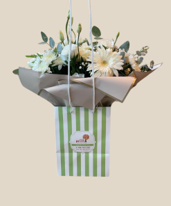 בליבי לבן ארוז