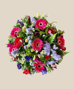 רגע אחרי הגשם מבט על