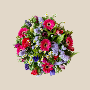 רגע אחרי הגשם מבט על