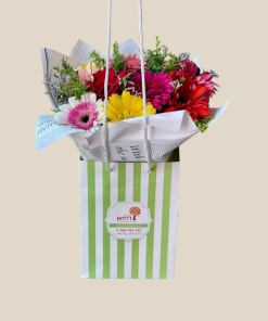 ספרות זולה אריזה