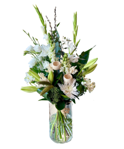 גבירתי הנאווה רקע לבן