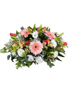 סידור עמית רקע לבן