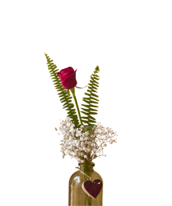 סוד הורד רקע לבן קירוב