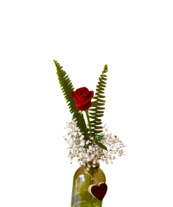 סוד הורד רקע לבן קירוב על