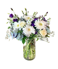 לבן עם נגיעות סגול רקע לבן