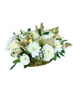 סידור איימי