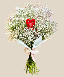 סידור גיבסניות לבן לב