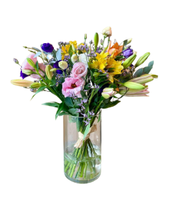 פריחה בכפר רקע לבן