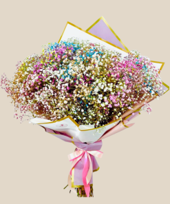 זר גיבסניות צבעוני