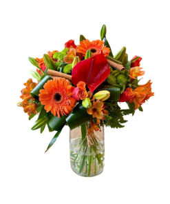 בוקט קינמון רקע לבן