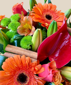 מבט קרוב קינמון