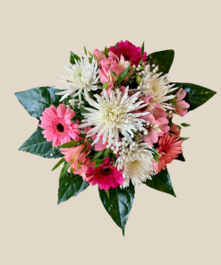 מותק של זר מבט על