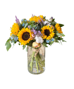 ולנסיה רקע לבן