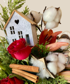 ריקוד הפיות המושלגות מבט קרוב