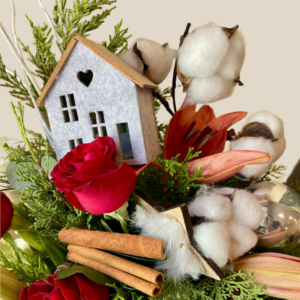 ריקוד הפיות המושלגות מבט קרוב