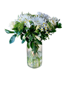 זר מאיה רקע לבן